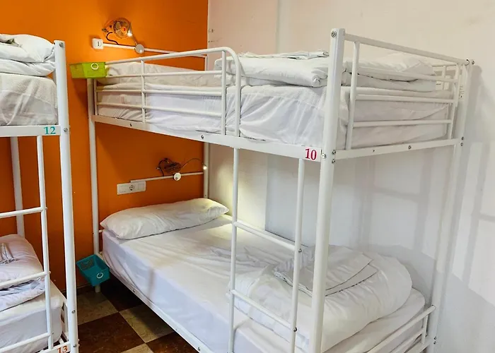 Hostel Oh! My Granada